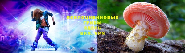 соль курить ск Горняк
