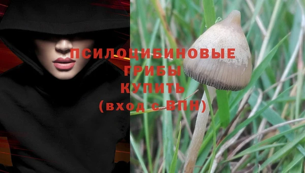 каннабис Вязники