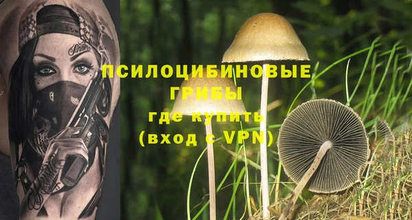 стафф Верхний Тагил