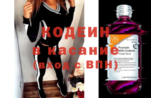прущая мука Вяземский